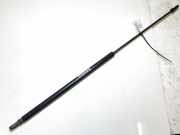 Gasfeder für Motorhaube Audi A4, B5 1994.11 - 1999.09 Gebraucht,