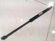 Gasdruckfeder Kofferraum Citroen C5, II 2008.02 - 2011.01 Gebraucht,