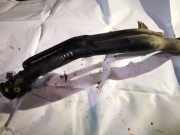 Tankeinfüllstutzen Tankrohr Kraftstoffrohr Mitsubishi Carisma, II 2000.09 - 2006.06 mr100970,mr100971