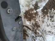 T?rschloss Stangen - Hinten Linke Nissan Primera, P12 2002.01 - 2008.12 Gebraucht,