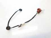 Glühbirnenfassung Blinker Kia Ceed, I 2006.12 - 2010.05 Gebraucht,