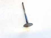 Auslassventil Audi A4, B7 2004.11 - 2008.06 Gebraucht,