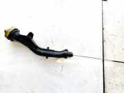 Ölmessstab Renault Laguna, III 2007.10 - 2010.11 Used, Used