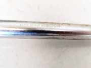 Gasfeder für Motorhaube Volkswagen Phaeton, 2002.04 - 2006 3D0823359B, BKL