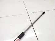 Gasfeder für Motorhaube Ford Grand C-MAX, 2011.01 - 2019 Gebraucht ,