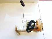 Kraftstoffpumpe Renault Laguna, I 1994.01 - 2001.03 7700825250g, 560000