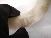 Verschluss Waschwasserbehälter Subaru Outback, IV 2009.06 - 2014.12 10020061,100-20061 10020061 10020064 100-20062 100-20063 100-20064 1002006 10020062 10050062 10050063 E13019581