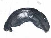 Radhausschale - Hinten Linke Mercedes-Benz ML, W163 1998.02 - 2005.06 1638840322,