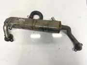 Abgask?hler AGR-K?hler Subaru Forester, III 2008.01 - 2012,12 14793aa020,j2d0ez5d3-as01 09g0a-0013