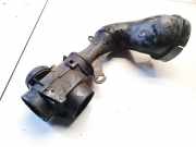 Schlauch für Luftversorgung Citroen Berlingo, I 1996.07 - 2002.11 9623517980,