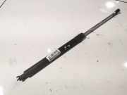 Gasdruckfeder Kofferraum Renault Laguna, III 2007.10 - 2010.11 Gebraucht,