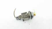Glühbirnenfassung Blinker Renault Scenic, I 1999.09 - 2003.06 facelift Gebraucht,