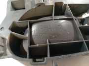 T?rinnengriff - Vorne Rechts Citroen C4, I 2004.11 - 2008.06 10012,10012 7387