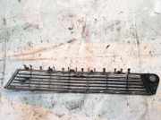 Kühlergrill - Vorne Center Opel Vectra, C 2002.04 - 2005.10 Gebraucht,