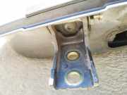 Türscharnier Hinten Citroen C5, I 2001.03 - 2008.02 Gebraucht,
