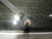 Wischermotor - Hinten Volkswagen Golf, IV 1997.08 - 2003.10 Gebraucht, AGU