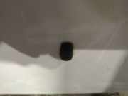 Waschwasserd?se Scheibenreinigung Daihatsu Sirion, 2005.01 - 2011.12 Gebraucht,