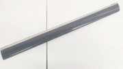 Zierleiste Tür Zier-Schutzleiste - Hinten Linke Mercedes-Benz W220, 1998.10 - 2005.08 A22066900762,