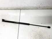 Gasdruckfeder Kofferraum Kia Sportage, 2004.09 - 2010.01 817701F010, 81770-1F010 5563SS0550N
