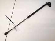 Gasdruckfeder Kofferraum Ford C-MAX, 2003.01 - 2007.06 3m51r406a10ab, 3m51-r406a10-ab