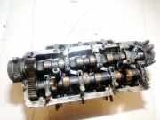 Zylinderkopf Volkswagen Passat, B5 1996.08 - 2000.11 059e,