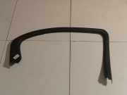 Zierleiste Leiste - Hinten Linke Jaguar X-Type, 2001.06 - 2007.11 1X435425561AGW,1X43-5425561-AGW