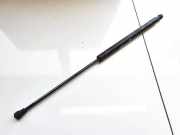 Gasdruckfeder Kofferraum Peugeot 206, 2002.07 - 2009.01 facelift 9631441380,
