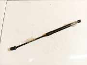 Gasfeder für Motorhaube BMW X5, E70 2006.10 - 2010 51327148346,