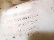 Scheibenwaschbehälter Vorne Wischwasserbehälter Renault Laguna, III 2007.10 - 2010.11 289100002r, 289100001e