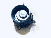 Lüftungsgitter Armaturenbrett Citroen C3, I 2002.02 - 2005.06 18m6219, 8362