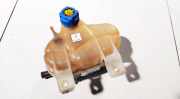 Ausgleichsbeh?lter Fiat Punto, 2005.10 - 2012.03 c705,
