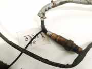 Lambdasonde - 5 Drähte WEISS GELB SCHWARZ GRAU ROT Volkswagen Passat, B6 2005.08 - 2010.11 Gebraucht ,