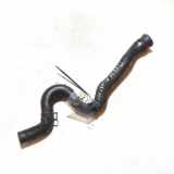 Kühlerschlauch Mitsubishi Space Star, 1998.06 - 2002.10 Gebraucht,