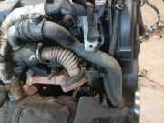 Kühlerschlauch Volvo S40, 2004.01 - 2007.03 Gebraucht,