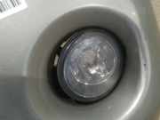 Nebelscheinwerfer - Vorne Linke Nissan X-Trail, 2001.06 - 2007.06 Gebraucht,