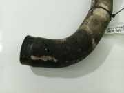 K?hlerschlauch Honda Accord, 2003.02 - 2005.09 Gebraucht,