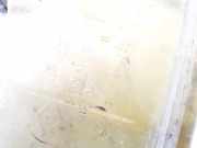 Ausgleichsbeh?lter Renault Vel Satis, 2002.06 - 2009.12 8200121653b,