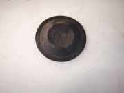 Blende Scheinwerfer - Vorne Renault Scenic, II 2003.06 - 2006.06 153874,153874