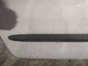 Zierleiste Tür Zier-Schutzleiste - Vorne Linke Chrysler Voyager, IV 2000.02 - 2008.12 Gebraucht,