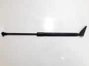 Gasdruckfeder Kofferraum Toyota Auris, I E15 2006.10 - 2012.10 6895002091,2466zg 0455n