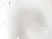 Radhausschale - Hinten Linke Volkswagen Golf, IV 1997.08 - 2003.10 1j0810971e, AHF