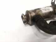 Abgaskühler AGR-Kühler Citroen C5, II 2008.02 - 2011.01 Gebraucht,