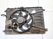 Kühlerlüfter Lüftermotor Ford Mondeo, 2007.03 - 2013.06 Gebraucht,