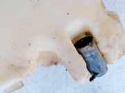 Waschwasserpumpe Scheibenreinigung Kia Rio, 2000.09 - 2005.02 mb882695, mr109850