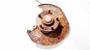 Radnabe Achsschenkel - Hinten Linke Mazda 6, 2002.06 - 2007.08 Gebraucht,