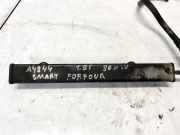 Kraftstoffverteiler Smart Forfour 2004 - 2006 Gebraucht ,