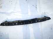Stoßstangenhalter - Hinten Renault Megane, III 2008.11 - 2012.06 850420008r,0001087279
