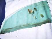 Seitenscheibe - Vorne Linke Ford Mondeo, 2000.11 - 2007.03 Gebraucht,