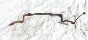 Stabilisator Vorne Nissan Note, 2006.03 - 2013.06 Gebraucht,