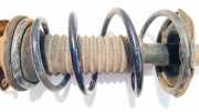Fahrwerksfeder vorne Toyota Yaris Verso, 1999.11 - 2005.09 Gebraucht,